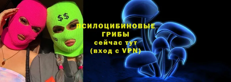 купить   Ельня  MEGA ONION  Псилоцибиновые грибы Psilocybe 